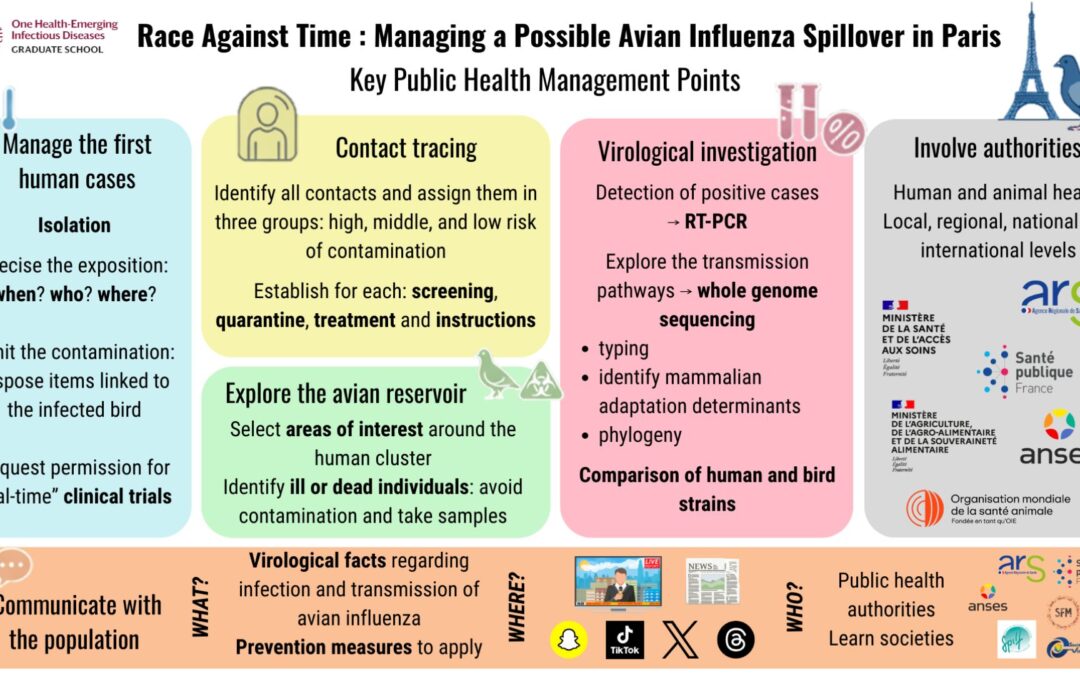 Case study: the hidden journey of a disease outbreak