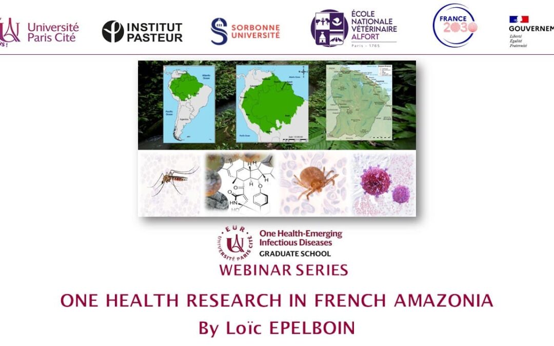 The Amazon, Viruses, and Vampires: what a year of 1H-EID webinars revealed to the world.