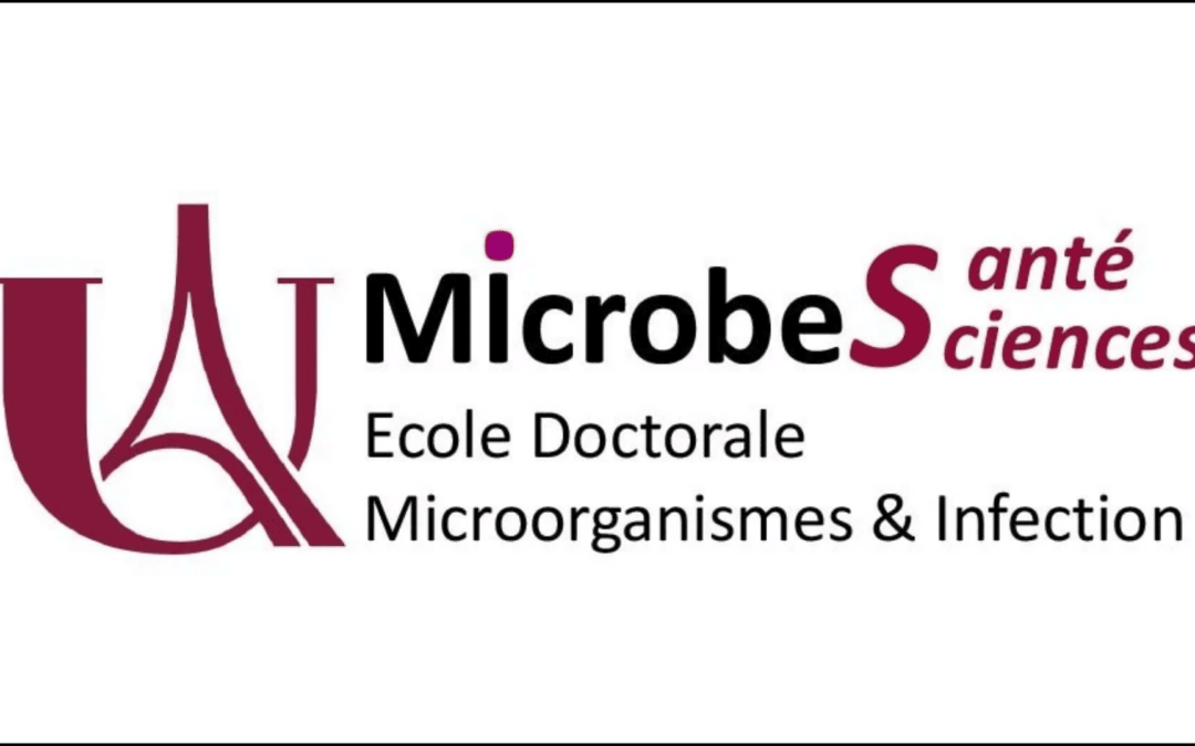 The MIcrobeS Doctoral School: a strategic framework for doctoral training in microbiology and infectious diseases at Université Paris Cité